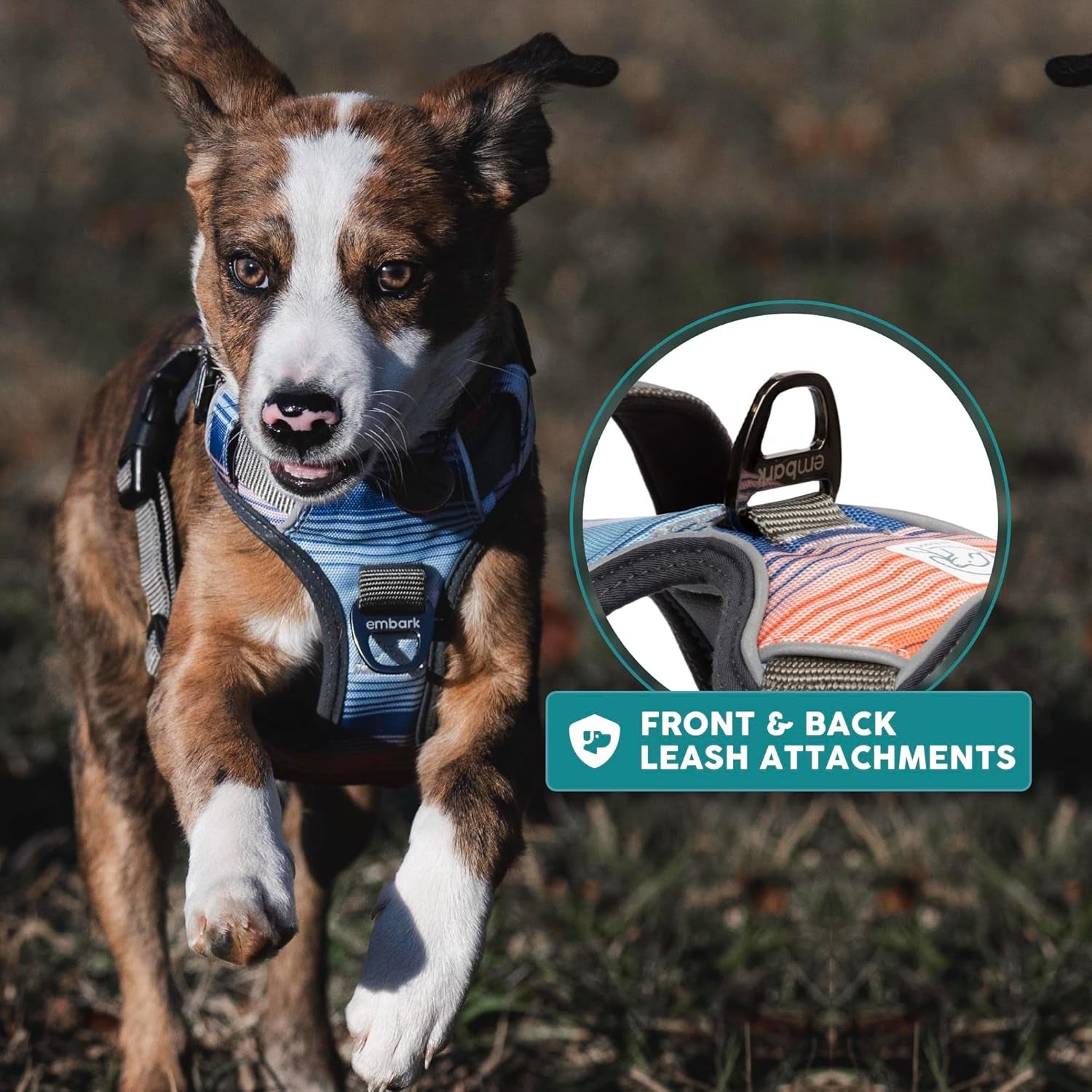 Embark Urban Dog Harness, Reflective Trim No Pull Dog Harnesses for Small Sized Dogs - Military Grade Nylon, Front Clip Dog Harness with Gel Lined Handle. Soft & Padded Puppy Dog Harnesses.