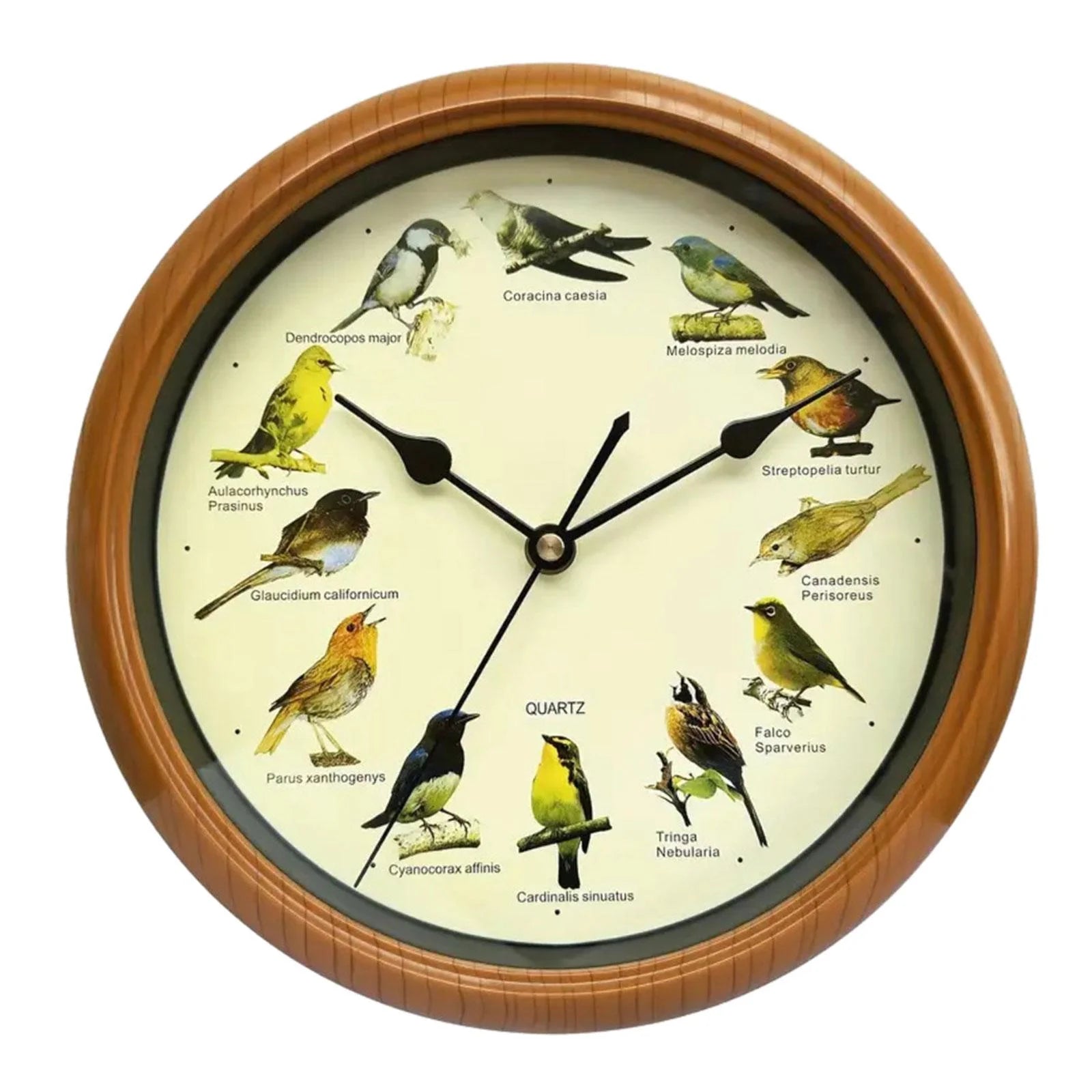 Bird Wall Clock 10 Inch That Sings on Hour Bird Clock with Sound Decorative Wall